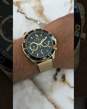 Tommy Hilfiger Jordan Chronograph Green Dial Gold Mesh Strap Watch For Men - 1792093